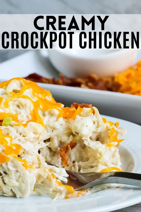 Three Ingredient Crockpot Chicken, Cream Of Chicken Chicken Crockpot, Boneless Chicken Tenderloin Recipes Crock Pot, Quick Crockpot Chicken Recipes 2 Hours, Crockpot Chicken With Sour Cream, Crockpot Creamed Chicken, Frozen Chicken Cream Cheese Crockpot, Thunder Chicken Crockpot, Crock Pot Chicken Tenders Recipes