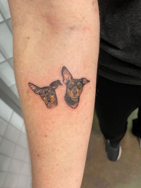 Min Pin Dog Tattoo Min Pin Tattoo, Chi Weenie Tattoo, Doberman Pinscher Tattoo, Mini Pinscher Tattoo, Pekingese Tattoo Ideas, Miniature Pinscher Drawing, Min Pin Dogs, German Pinscher, Min Pin