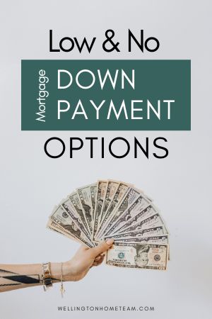 While most people strive to put 20% down on a home purchase it isn't required. Here are some no and low mortgage down payment options. #realestate #homebuying #mortgage #401k #fha #va #conventional #howto House Flipping, Home Purchase, Fha Loans, Real Estate Articles, Retirement Fund, Buy A House, Real Estate Advice, 401k, Types Of Loans