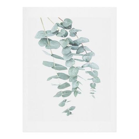 Mint Eucalyptus Ii Framed Wall Art Sisi And Seb Banana Leaf Art, Jungle Art, Sound Art, Blossoms Art, Unframed Art Prints, Square Art, Flower Prints Art, Leaf Art, Unframed Art