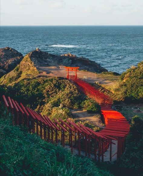 tsunagu Japan on Instagram: “Motonosumi Inari Shrine in Yamaguchi Prefecture😍 This secluded shrine on the coast of Yamaguchi boasts 123 torii gates. • PHOTO @age_cox…” Inari Shrine, Shinto Shrine, Japanese History, Japan Photo, Pictures Of People, Yamaguchi, Future Travel, Pretty Places, Great Lakes