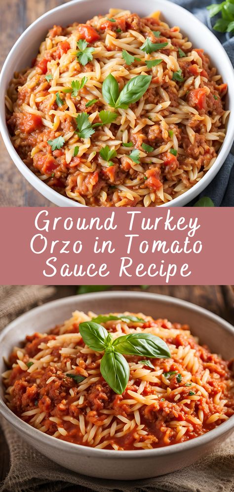 Ground Turkey Orzo in Tomato Sauce Recipe | Cheff Recipes Orzo Ground Turkey Recipe, Turkey Orzo Recipes, Ground Turkey Italian Recipes, Ground Turkey And Orzo Recipe, Ground Turkey Orzo Recipes, Turkey Orzo, Recipe Ground Turkey, Noom Meals, Ground Turkey Recipe