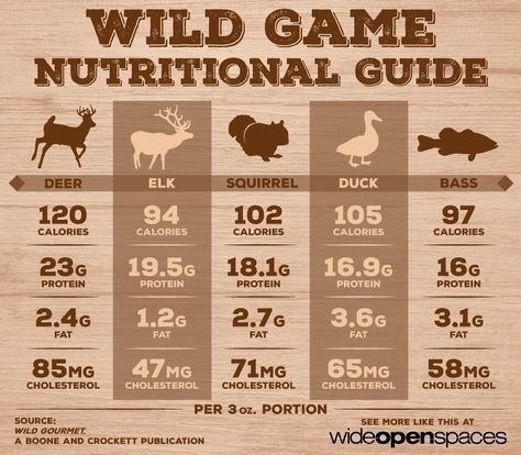 Many of anti-hunters don't know or understand the real value of the hunting community. When you look at the bigger picture, money talks. (Findings) Deer Processing, Nutritional Guide, John 117, Nutrition Infographic, Deer Recipes, Deer Meat, Wild Game Recipes, Wide Open Spaces, Hunting Tips