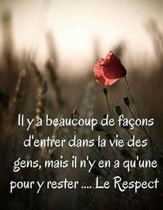 En ce début d’année, époque censée être propice à la prise de bonnes résolutions pourvu qu’on soit réellement déterminés, peut-être pourrions-nous justement réfléchir aux limites qui pourront nous assurer le respect d’autrui. C’est un des objectifs les... Martin Luther King Jr Quotes, Citation Positive, Quote Citation, Spiritual Words, Positive Inspiration, French Quotes, Best Inspirational Quotes, Learn French, Positive Attitude