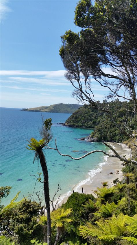 Stewart Island New Zealand, Rakiura Track, Stewart Island, Dunedin New Zealand, 2025 Vision, North Shore, Website Design, New Zealand, Beautiful Places