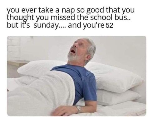 Nap Meme, English Jokes, Online Comics, Take A Nap, School Bus, Funny Clips, Funny Laugh, Bones Funny, Funny Photos