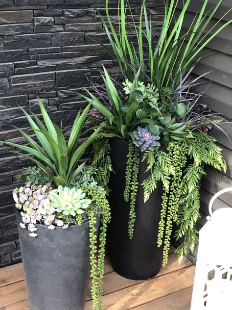 Porch Planter Ideas, Front Door Planters, Front Porch Plants, Front Porch Flowers, Front Porch Planters, Porch Plants, Patio Flowers, Porch Flowers, Winter Planter