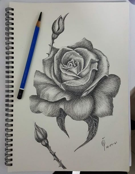 Realistic Flower Drawing Pencil, Unique Sketches Creative, Blending Drawing, Realistic Flower Drawing, Easy Graffiti Drawings, Pencil Drawings Of Flowers, Pencil Drawing Images, Abstract Pencil Drawings, Cats Art Drawing