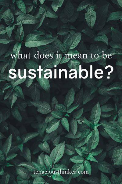 This introduction to sustainability talks about the history of the environmental movement, the impacts of industry on the environment and people, and ways to minimize our impacts on the environment. Many people are focusing on living more sustainably and eco-friendly. Did you know you can use minimalism to fast-track your environmentally conscious lifestyle?  #environmentalist #Environmentalism #ecoconscious #EcoLiving #EcoFriendly #ecolife #ecolifestyle #ecoblogger #greenliving #ecominimalism Environmental Quotes, Conscious Lifestyle, Environmental Movement, Eco Life, Waste Reduction, Eco Lifestyle, Net Zero, Marketing Instagram, Sustainable Community