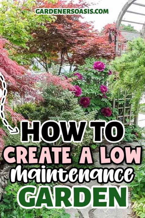 16 Tips For Creating A Low Maintainenance Garden | Garden Design No Work Garden, Easy Maintenance Garden, Low Maintenance Backyard Landscaping Designs, Diy Front Garden, Shade Plants Perennial, Vegetable Garden Design Layout, Landscaping For Beginners, Garden Low Maintenance, Secret Garden Design