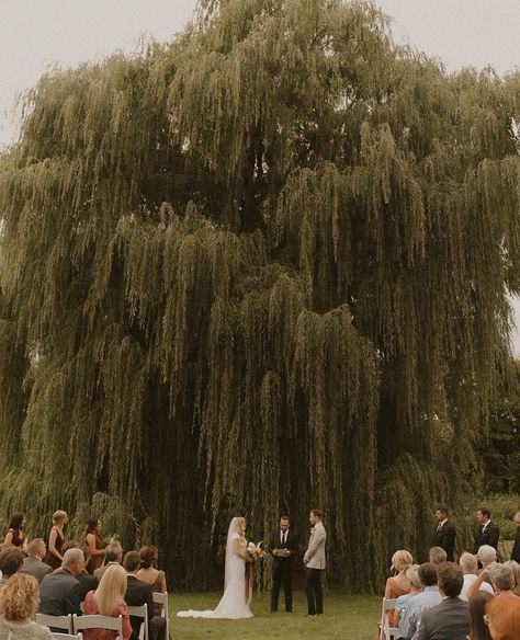 Tree Wedding Ceremony, Wedding Cermony, Willow Tree Wedding, New York Wedding Venues, Forest Theme Wedding, March Wedding, Future Wedding Plans, Neutral Wedding, Cute Wedding Ideas