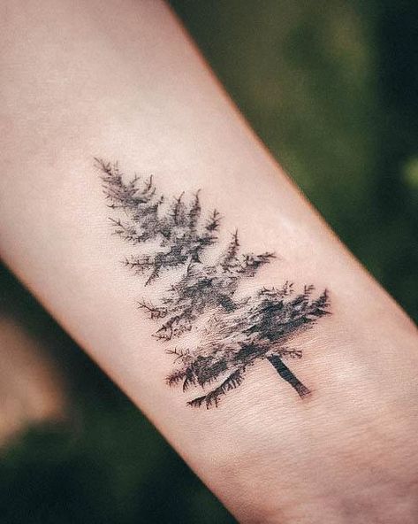 Top 100 Best Popular Tattoos For Women - Admirable Design Ideas Forrest Tattoo Designs Women, Pine Tree Tattoos For Women, Cedar Tree Tattoo, Popular Tattoos For Women, Pine Tree Tattoos, Oliver Tattoo, Small Nature Tattoos, Evergreen Tattoo, Evergreen Tree Tattoo