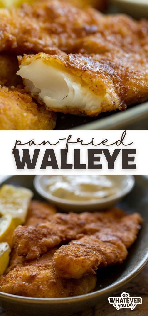 Grilled Walleye Fish Recipes, Best Walleye Recipes, Fish Breading Recipe Fried, Fish Breading Recipe, Grilled Walleye Recipes, Fried Walleye, Grilled Walleye, Pan Fried Fish Recipes, Walleye Recipes