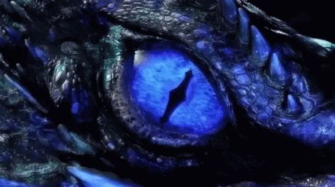 Dragon Blue Eyes GIF - Dragon Blue Eyes Dragon Eye - Discover & Share GIFs Dragon Eye Drawing, Rock Kunst, Blue Eyes Aesthetic, Dragon Eyes, Eyes Wallpaper, Blue Anime, Fire Art, Dragon Pictures, Dragon Eye