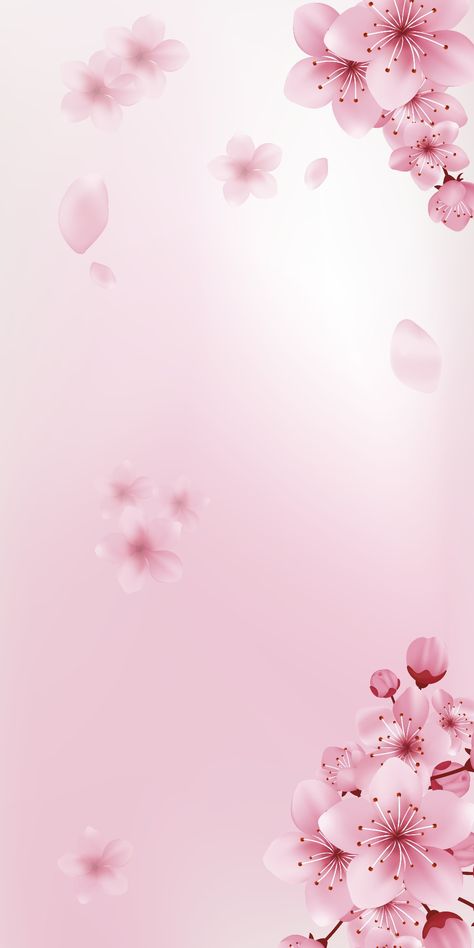 White And Pink Aesthetic Background, Spring Background Wallpapers Simple, Pink Flower Background Design, Soft Pink Lockscreen Aesthetic, Pink Sakura Wallpaper, Pink Wallpaper Hd 1080p, Pink Spring Wallpaper, Sakura Background, Flower Wallpaper Pink