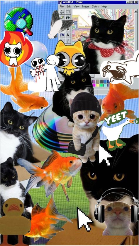 #me core #cats #goofy Goofy Wallpaper, Cats Goofy, Goofy Cats, Me Core, Wallpaper Collage, Ios App Icon Design, Ios App Icon, Art Wallpaper Iphone, App Icon Design