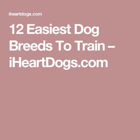 12 Easiest Dog Breeds To Train – iHeartDogs.com Under Bridge, Outside Dogs, Easiest Dogs To Train, Animal Behavior, Doberman Pinscher, Poodle Dog, Super Mom, Family Dogs, Dog Trainer