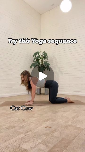 Flow And Restore Yoga, Sun A Variations, Supine Yoga Poses, Side Stretches, Back Bend, Cat Cow, Basic Yoga Poses, Leg Extension, Side Extension