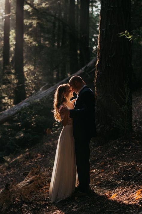 Big Sur Redwoods Elopement Guide | Wandering Weddings Romantic Elopement Photos, Elopement Woods, Woodsy Elopement, Photoshoot Forest, Ventana Big Sur, Sunny Fall Day, Redwoods Elopement, Romantic Forest, Twilight Wedding