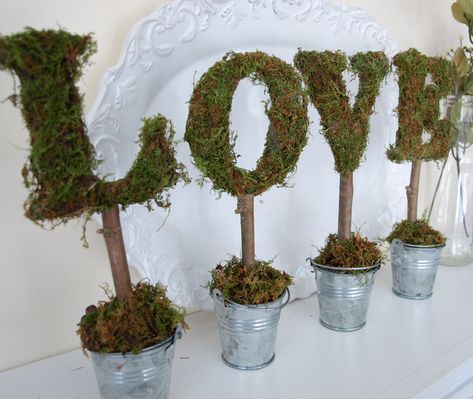 I love a good topiary in pretty much any shape or size. I’ve made all kinds of them & shared them with you since I started this blog, and my latest ones are part of my Valentine decor (co… Moss Covered Letters, Moss Letters, Topiary Diy, Alphabet Letter Crafts, Moss Covered, Topiaries, My Funny Valentine, Letter A Crafts, Arte Floral