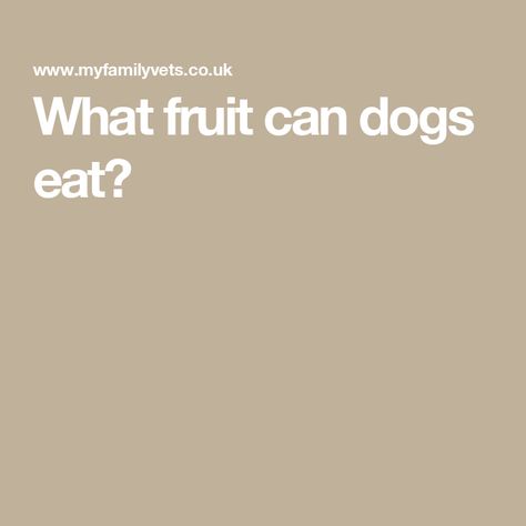 What fruit can dogs eat? Safe Fruits For Dogs, Fruit Dogs Can Eat, Fruits For Dogs, Canned Pears, Urinary Health, Types Of Fruit, Dog Diet, Canned Peaches, Human Food