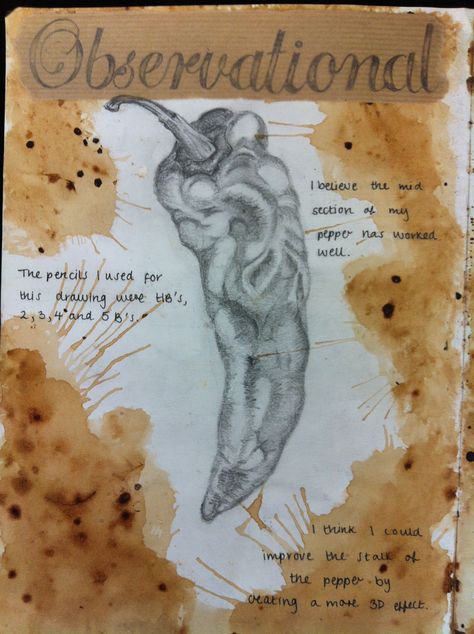 Beaumont School: GCSE Observational drawing Art Gcse Natural Forms Title Page, Gcse Observational Drawing, Observational Drawing Gcse, Observational Sketchbook, Natural Forms Gcse Title Page, Juan Sanchez Cotan, Natural Forms Gcse, Observational Drawings, Gcse Sketchbook