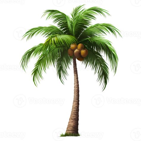 Coconut Tree Drawing, Beach Coconut Tree, Beach Coconut, Graphic Design Assets, Couples Poses, Tree Drawing, Coconut Tree, Couples Poses For Pictures, Custom Illustration