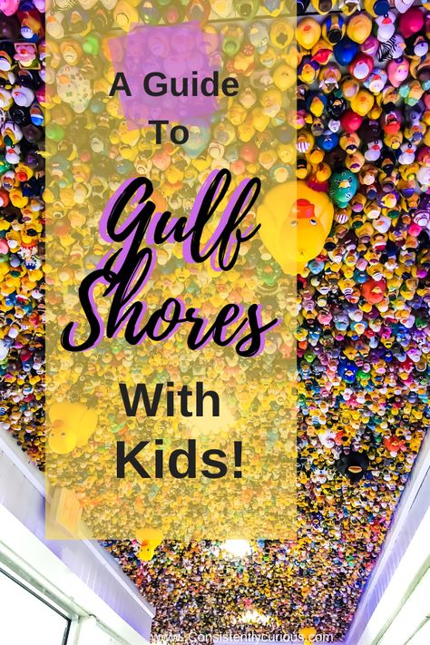 Gulf Shores Alabama Vacation, Beach With Kids, Alabama Vacation, Gulf Shores Vacation, Orange Beach Alabama, Gulf Shores Alabama, Beach Bbq, Things To Do With Kids, Family Vacation Destinations