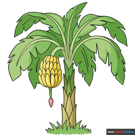 Banana Tree With Fruit, Lukisan Pokok, Tree Drawing For Kids, Trees Drawing Tutorial, Mithila Art, Fruit Coloring, Cartoon Banana, Trees For Kids, Carton Diy