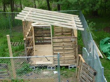 Pallet Coop, Small Pallet, Backyard Chickens, Chickens Backyard, Chicken Coop, Coop, On A Budget, My Husband, Chicken