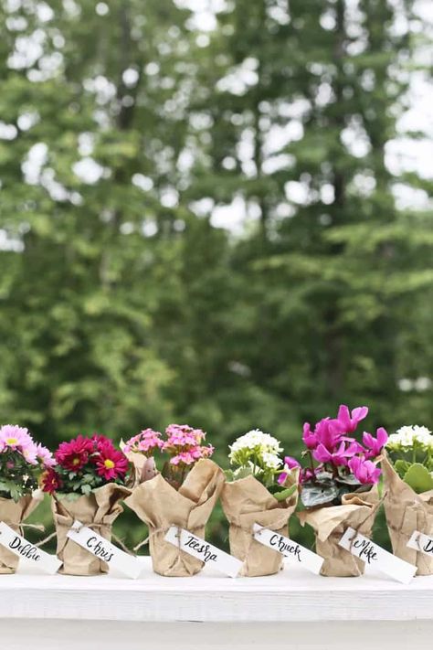 Mini potted flowers make great party favors! See all the details of this dinner party here. Party Favor Centerpieces, Plant Wedding Favors For Guests, Potted Plants Table Decor, Mini Flower Centerpieces, Spring Potted Plants, Secret Garden Party Favors, Plant Centerpieces For Party, Dinner Party Favors Guest Gifts, Potted Flower Centerpieces