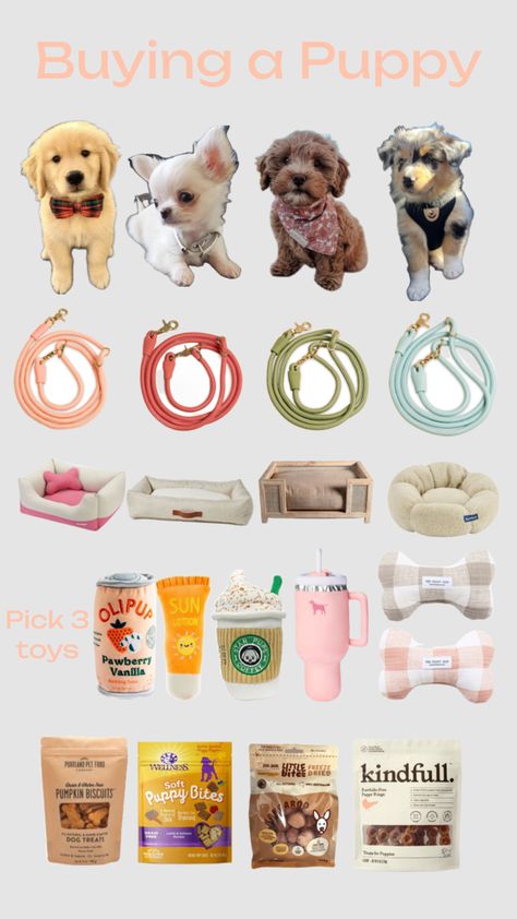 Dog Supplies List, Making A Gift Basket, Girly Christmas Gifts, Dog Treats Grain Free, Cute Dogs Images, Puppy Biting, Puppy Accessories, Super Cute Puppies, Dog Essentials