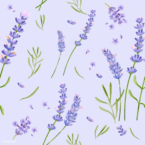 Hand drawn lavender flower pattern | premium image by rawpixel.com Lavender Flower Drawing, Drawn Lavender, Phlox Flowers, Lavender Pattern, Hollyhocks Flowers, Rose Flower Pattern, Rose Gold Texture, Free Illustration Images, Lavender Flower