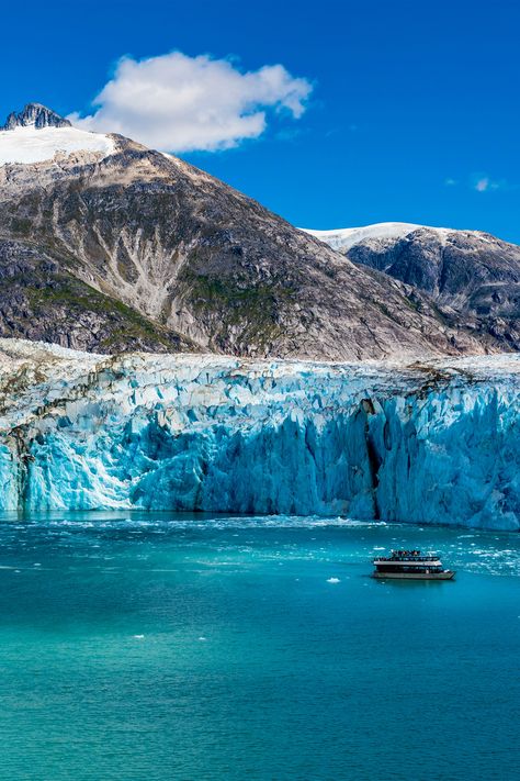 Endicott Arm, Alaska | Embark on an iced-out adventure on a Royal Caribbean cruise to Endicott Arm, Alaska. Sail the long, narrow fjord leading up to Dawes Glacier, an active tidewater glacier towering hundreds of feet high. Alaskan Wildlife, Alaska Cruises, Cruise To Alaska, Alaska Photos, Tongass National Forest, Royal Caribbean Cruises, Alaska Glaciers, Ketchikan Alaska, Royal Caribbean International