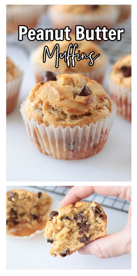 Peanut Butter Muffins Peanut Butter Muffins Recipes, Peanut Butter Chocolate Chip Muffins, Chocolate Peanut Butter Muffins, Chocolate Chip Muffins Easy, Muffins With Chocolate Chips, Muffins With Chocolate, Butter Muffins, Peanut Butter Muffins, Simple Muffin Recipe