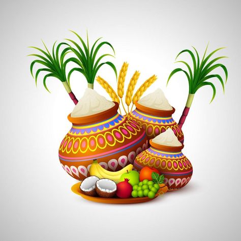 Pongal Festival Images, Pongal Images, Free Green Screen Backgrounds, Pongal Celebration, Banner Clip Art, Best Quotes Images, Wedding Background Images, Lucky Wallpaper, Happy Pongal