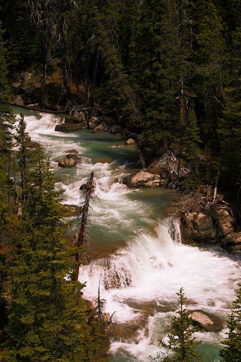 Rivers Aesthetic, Wilderness Aesthetic, Canadian Wilderness, Icefields Parkway, Canada Eh, Yoho National Park, Canada Road Trip, Lake Lodge, Emerald Lake