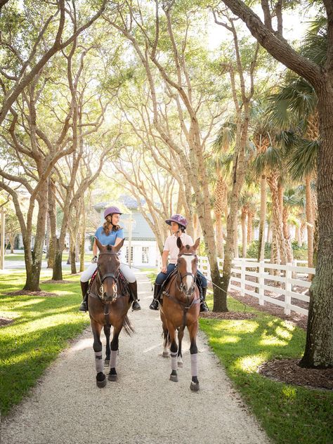 Windsor Amenities | Fitness & Wellness | Luxury Residential Waterfront Property Wellington Florida Equestrian, Windsor Florida, Sporting Club, Chi Kung, Horse Things, Waterfront Property, Recreational Activities, Fitness Instructor, Training Equipment