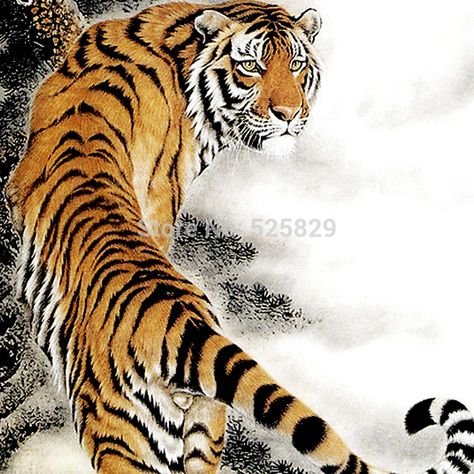 Tiger Traditional, Tiger Paintings, Tiger Tattoos, Chinese Tiger, Japanese Tiger, King Style, Tiger Tattoo Design, Tiger Wallpaper, Cat Species