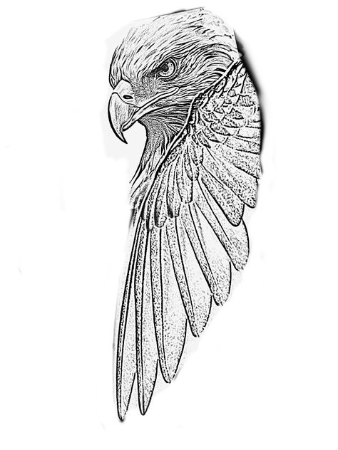 Bird Of Prey Tattoo, Bald Eagle Tattoos, Camping Tattoo, Clock Tattoo Design, Egypt Tattoo, Mens Shoulder Tattoo, Dark Art Photography, Tattoo Zeichnungen, Animal Stencil