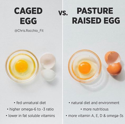 Pastured eggs contain higher levels of omega-3, less omega-6, & more vitamins and minerals. - What type of eggs do you eat? - Pic by… Dr James Dinicolantonio, James Dinicolantonio, Health Benefits Of Eggs, Ways To Cook Eggs, Egg Benefits, Types Of Eggs, Pasture Raised Eggs, Most Nutritious Foods, Fat Soluble Vitamins