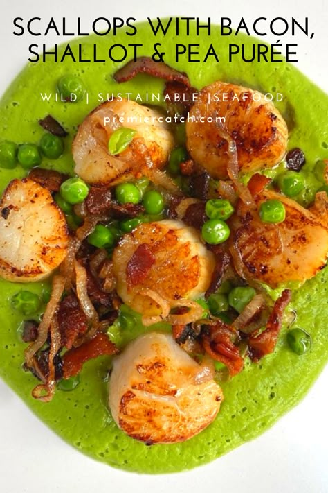 Scallops With Pea Puree, Fancy Date Night Dinner Recipes, Scallops With Bacon, Pea Puree, Chef Dishes, Caramelized Shallots, Spring Peas, Blue Spirulina, Delicious Seafood Recipes