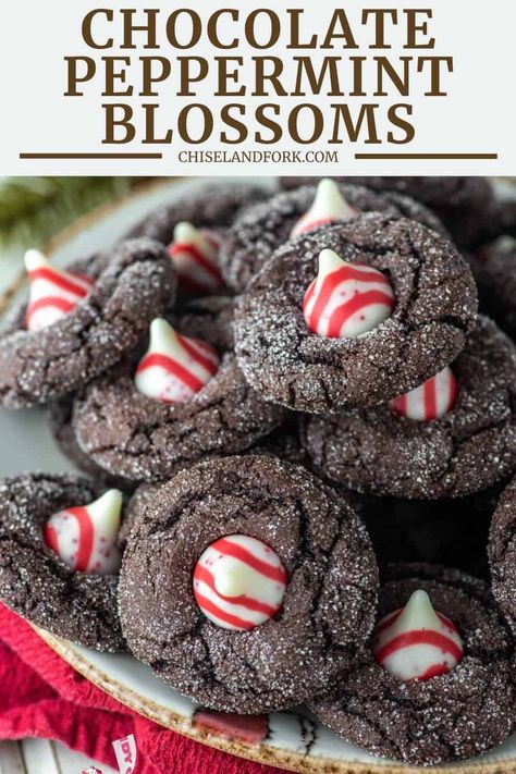 These chocolate peppermint blossoms are a unique twist on a classic with a chocolate cookie and candy cane Hershey's kiss which is perfect for the holidays. #chocolatepeppermintblossoms #holidaycookies #christmascookies #peppermintcookies #cookierecipe | www.chiselandfork.com Peppermint Blossoms, Peppermint Recipes Desserts, Christmas Chocolate Recipes, Healthy Christmas Desserts, Peppermint Recipes, Christmas Cookie Recipes Holiday, Peppermint Fudge, Delicious Christmas Desserts, Raspberry Cookies