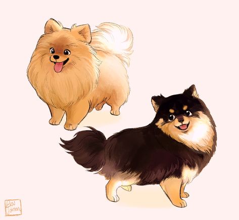 Pomeranian Art, Dogs Pomeranian, Bev Johnson, Dog Design Art, Cute Dog Drawing, Beverly Johnson, Cute Pomeranian, Puppy Art, 강아지 그림