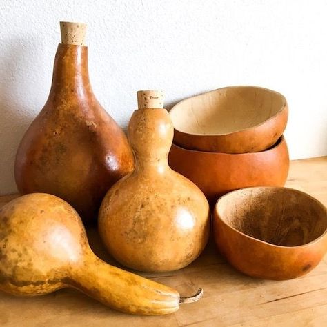 Gourd Containers, Carving Gourds, Gourd Bottle, Gourd Bowls, Gourd Bowl, Calabash Gourd, Wood Burning Techniques, Bottle Gourd, Slime Mould