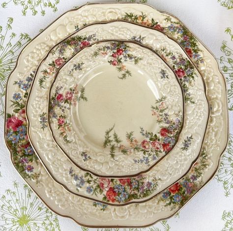 70s Garden, Antique China Dishes, Cute Plates, Victorian Room, Tables Decorations, Crockery Design, Vintage Dishware, White Chicks, Dishes Plates