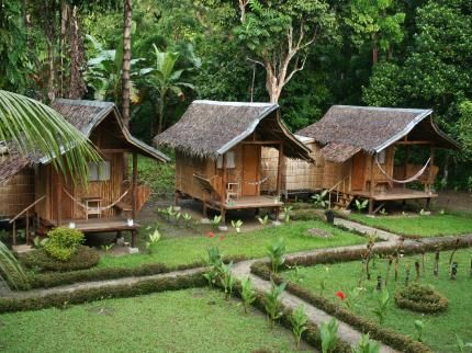 nipa huts Philippine Rice, Filipino Houses, Rice Patties, Nipa Hut, Eco House Design, Bahay Kubo, Hut House, Bamboo House Design, Mud House