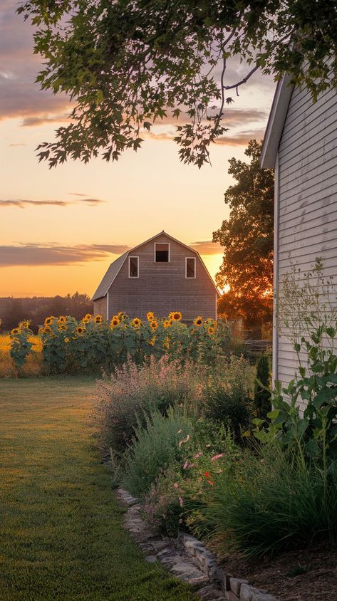 A rustic barn sits in front of a vibrant sunset, surrounded by tall sunflowers and lush garden greenery. A tree frames the scene, evoking tranquility. Aesthetic Farm Life, Homesteading Aesthetic, Homestead Aesthetic, Farm Dream, Backyard Flowers Garden, Four Wheeler, Cottagecore Home, Backyard Flowers, Farm Lifestyle