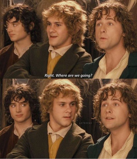 Right. Where are we going? / Frodo, Merry & Pippin / Lord of the Rings Lord Of The Rings Pippin And Merry, Pippin Lord Of The Rings, Lotr Merry And Pippin, Merry Lord Of The Rings, Merry X Pippin, Lord Of The Rings Profile Picture, Merry And Pippin Fanart, Frodo Baggins Fanart, Lord Of The Rings Pippin