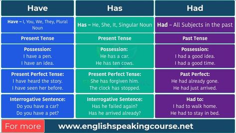 Had Has Have Grammar, Have Has Had Grammar Rules, Has Have Had Grammar, Use Of Have Has Had In English, Have Has Had, Interrogative Pronouns, Basic English Grammar, English 101, English Notes